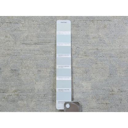 Oushak And Peshawar Wool Hand Knotted Rug Blue Light Gray 2.8X9.6 -O072761