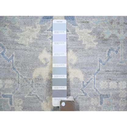 Oushak And Peshawar Wool Hand Knotted Rug Grey Gray 3.10X6.0 -O073117