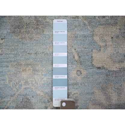 Oushak And Peshawar Wool Hand Knotted Rug Blue Blue 4.0X10.1 -O073297