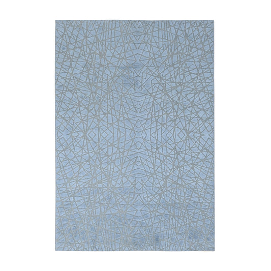 Modern and Contemporary Wool & Silk Hand Knotted Rug Grey No Border 6.0X8.10 -O080984