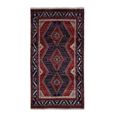 Persian Wool Hand Knotted Rug Red Blue 5.1X9.7 -O087575
