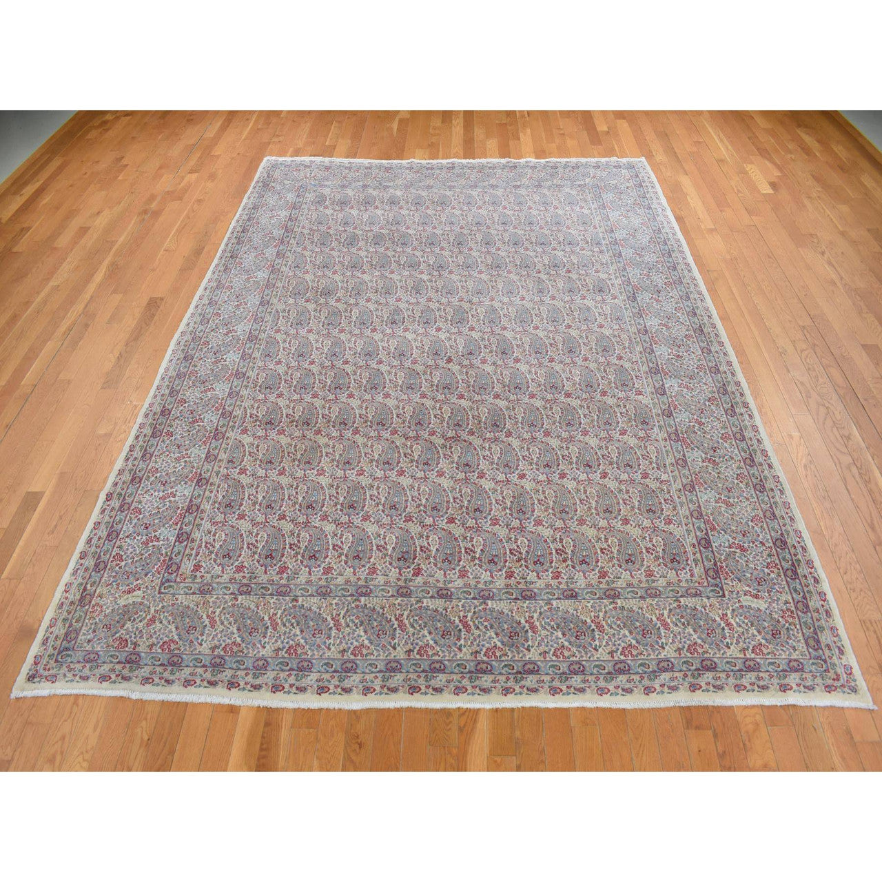 Fine Oriental Wool Hand Knotted Rug Ivory Ivory 8.9X12.1 -O087897