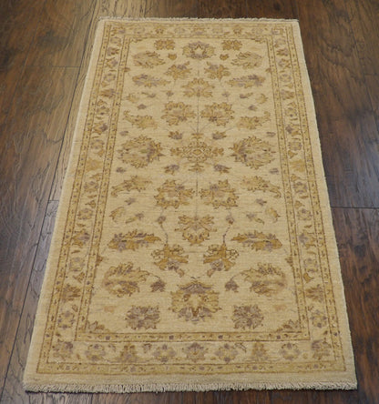 Chobie 3'0"x5'0" Hand-knotted Rug -w138