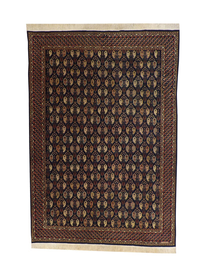 Traditional Fine Pesley Heraki Wool Hand Knotted Rug 6X9 - w5121